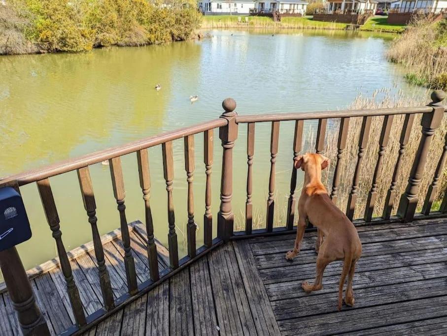 Lakeside View Holiday home Wisbech